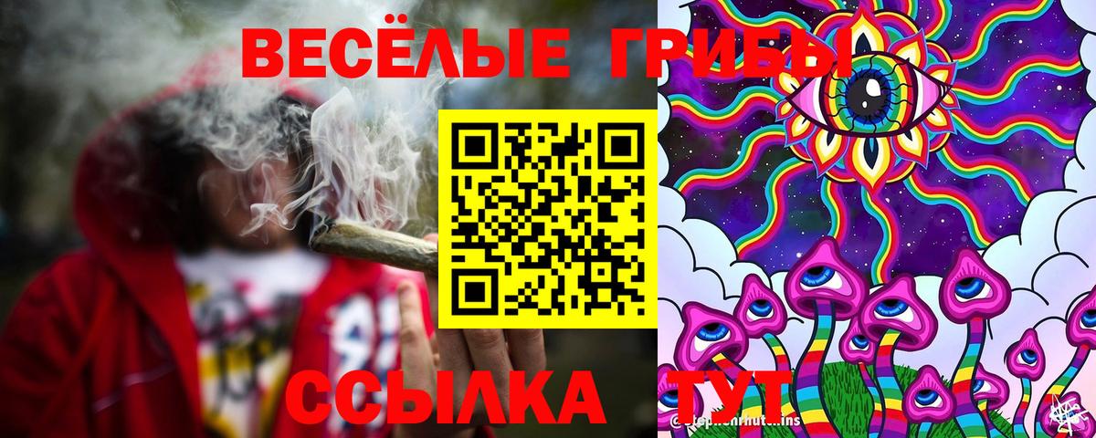 Псилоцибиновые грибы ЛСД Иваново