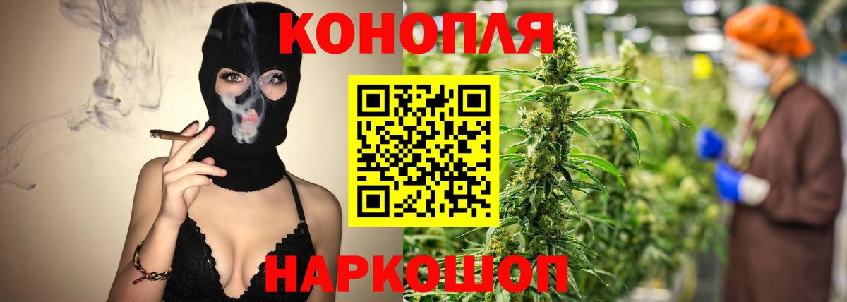 Каннабис план Иваново